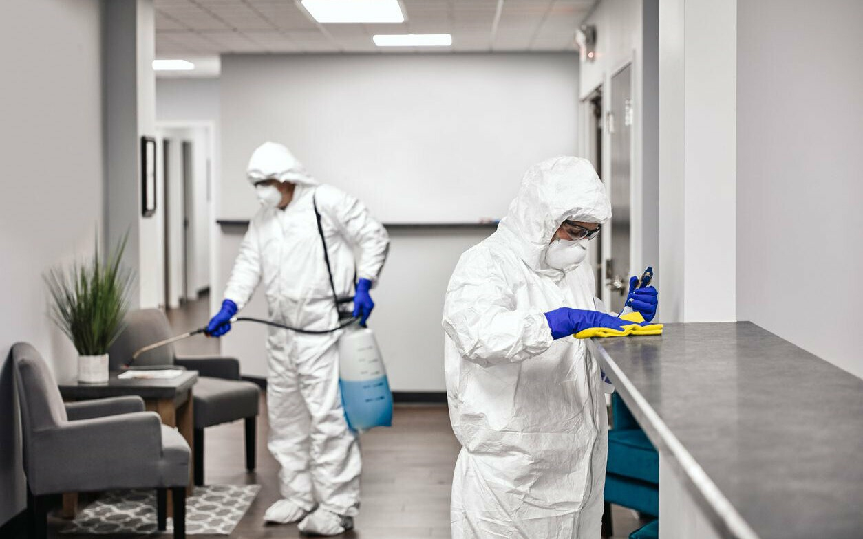 ФОТО Обработка офиса от вредителей в Щелково | подробно