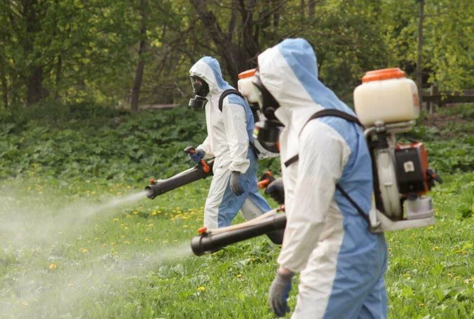 ФОТО Уничтожение клопов в Щелково