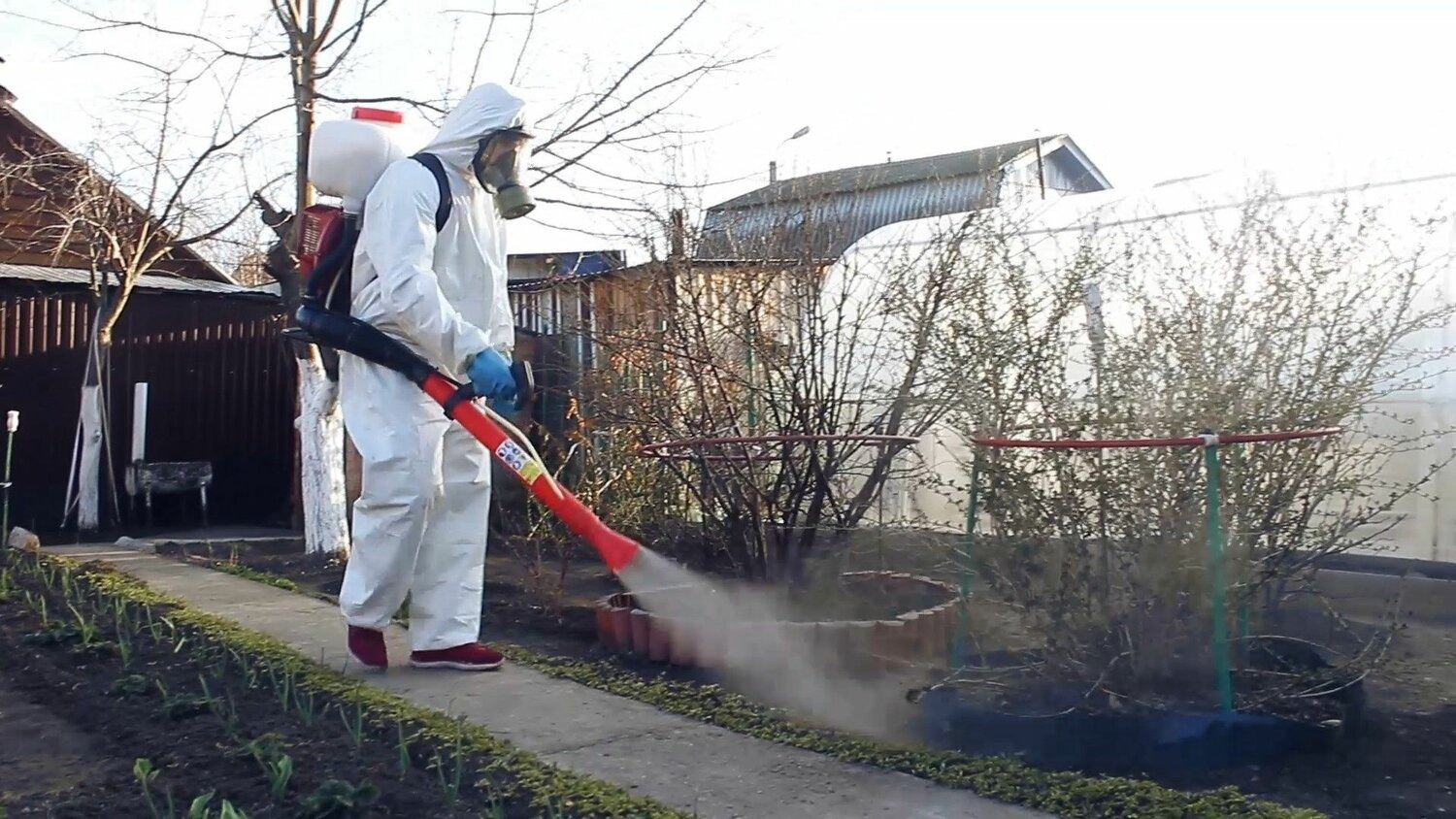 ФОТО Уничтожение муравьёв в Щелково