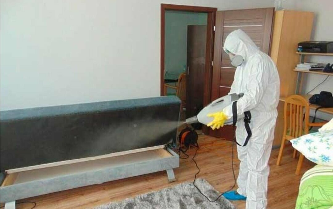 ФОТО Уничтожение блох в Щелково