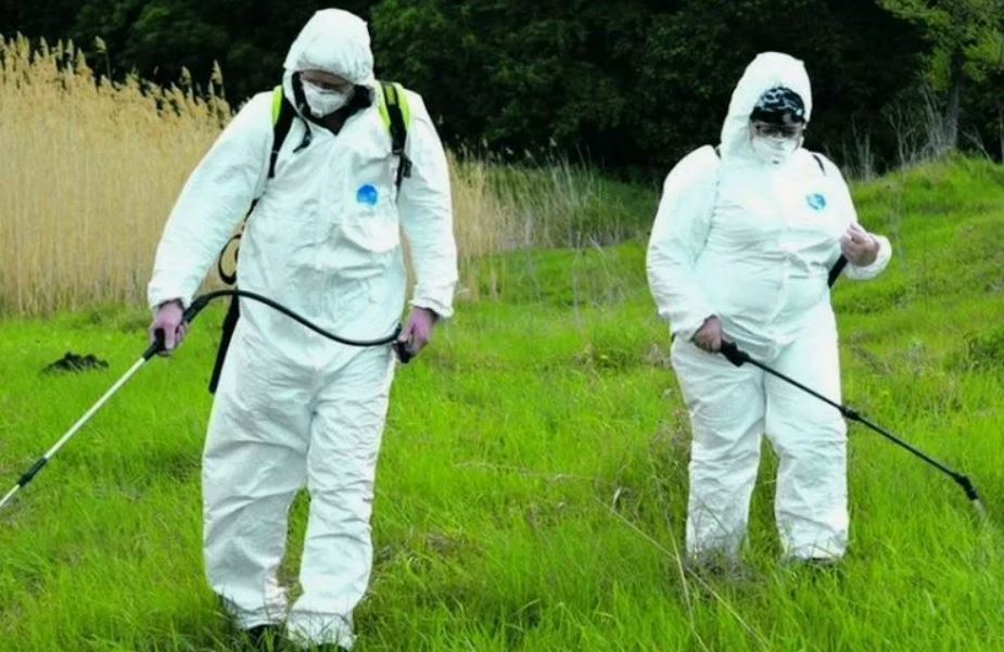 ФОТО Обработка от клещей в Щелково