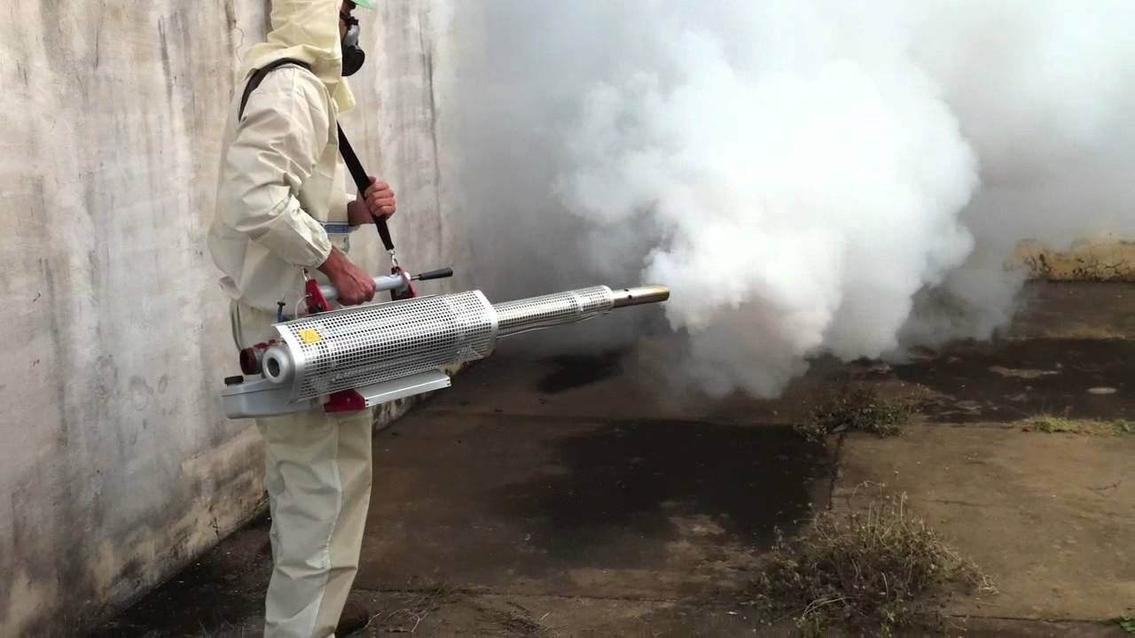 ФОТО Уничтожение мух в Щелково