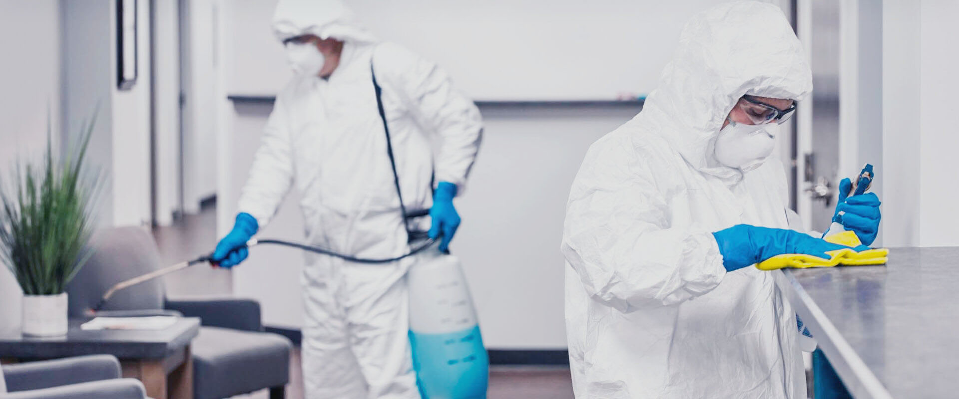 ФОТО В чем разница между дезинфекцией и дезинсекцией в Щелково? | подробно