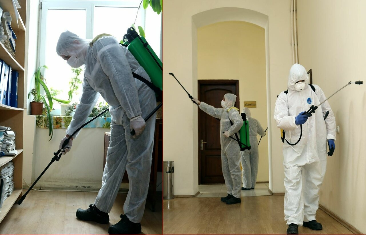 ФОТО Требуется ли лицензия для дезинсекции и дезинфекции в Щелково? | подробно