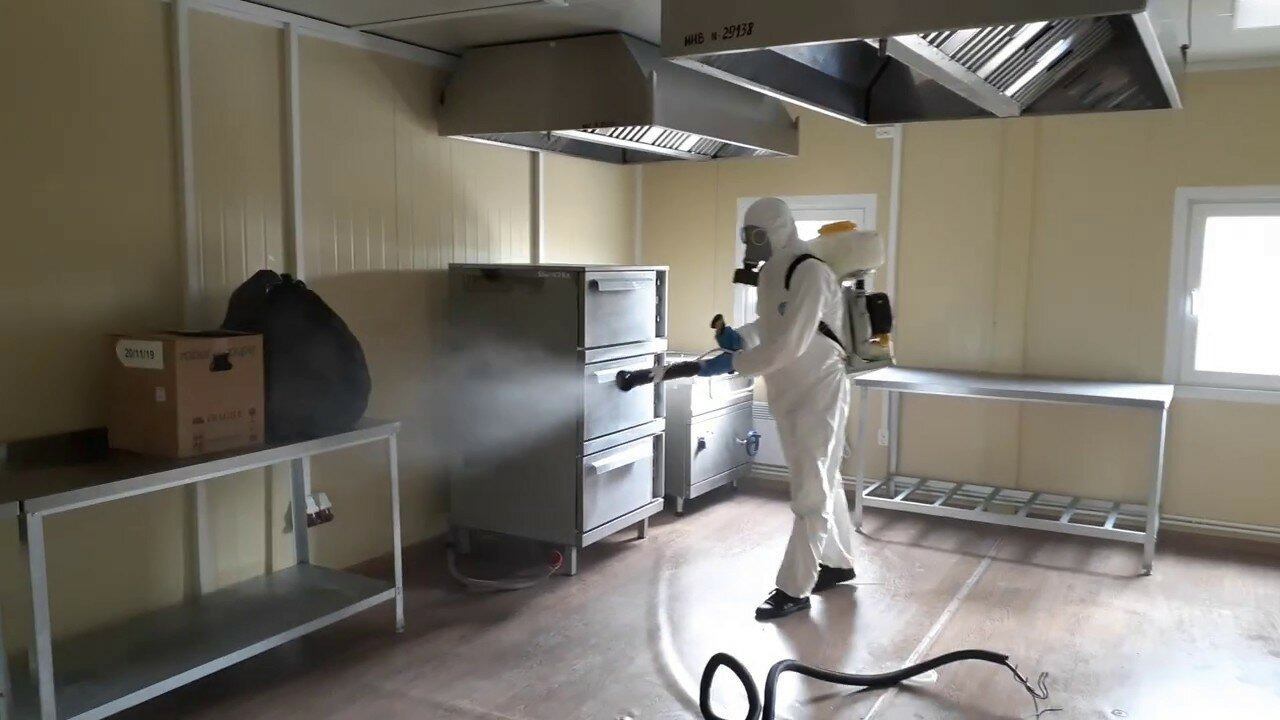 ФОТО Можно ли провести дезинсекцию самостоятельно и какие существуют риски в Щелково? | подробно