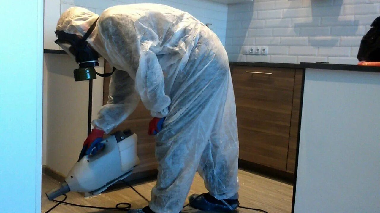 ФОТО Как подготовить домашних животных к обработке от насекомых в Щелково? | подробно