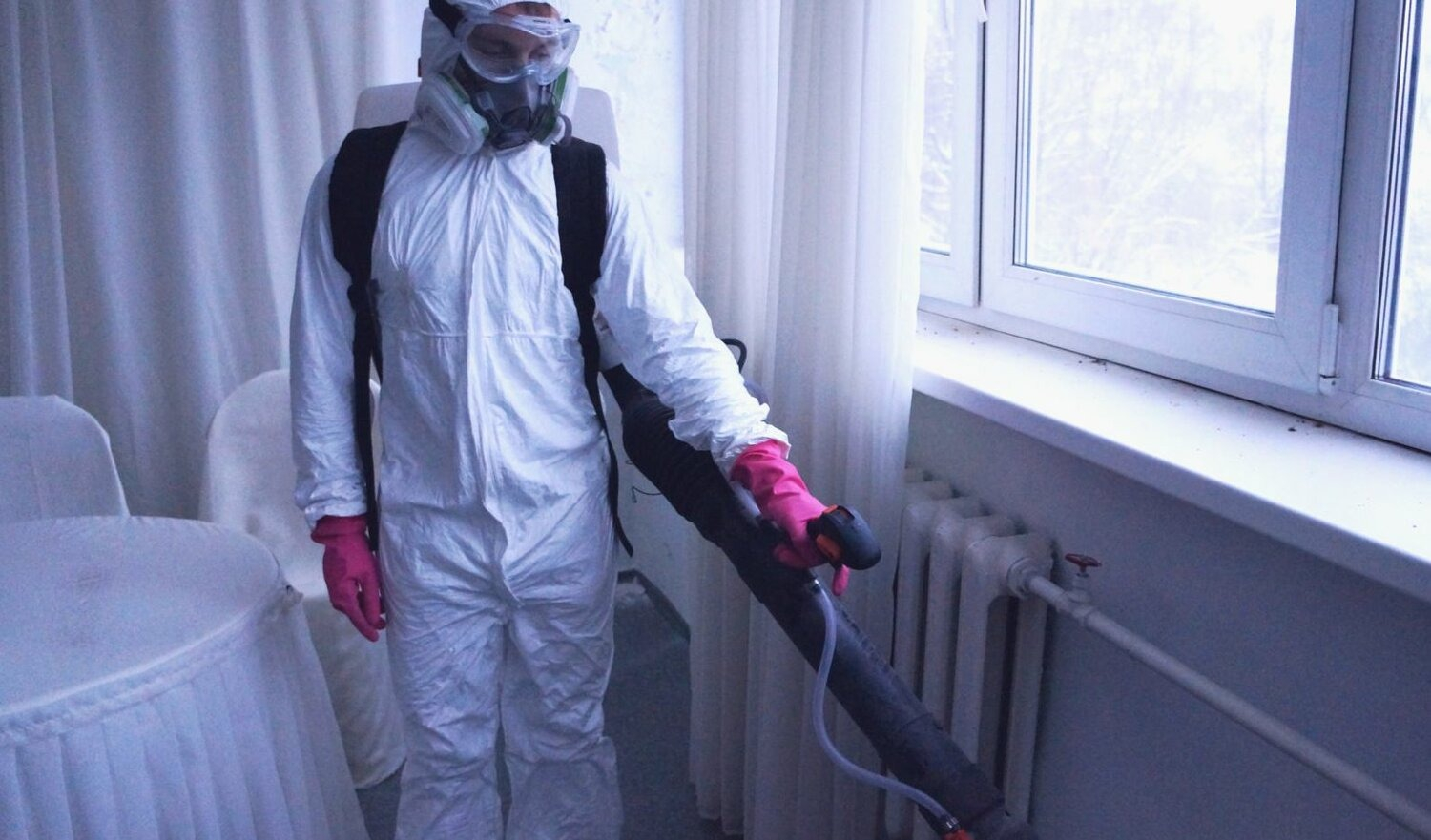 ФОТО Нужно ли выносить растения при дезинсекции в Щелково? | подробно