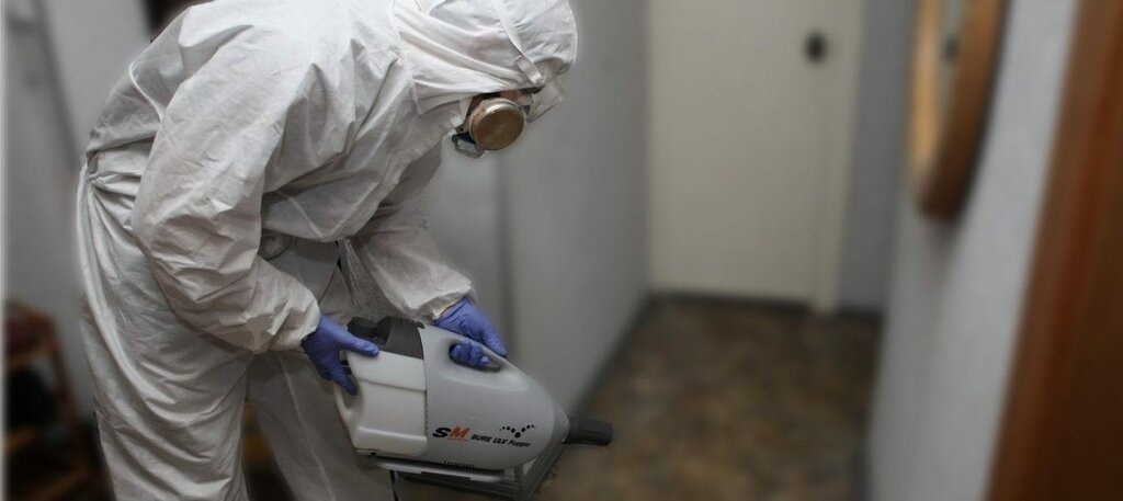 ФОТО Остаются ли следы после обработки квартиры от насекомых в Щелково? | подробно