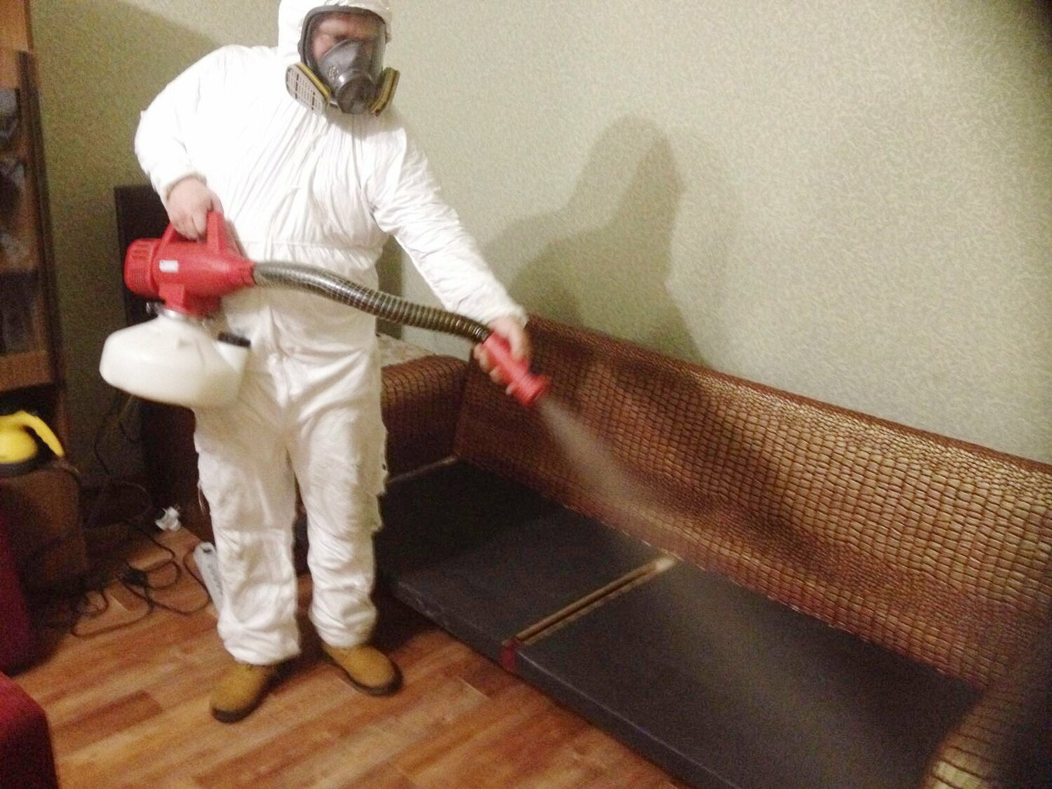 ФОТО Когда можно вернуться в помещение после дезинсекции в Щелково? | подробно