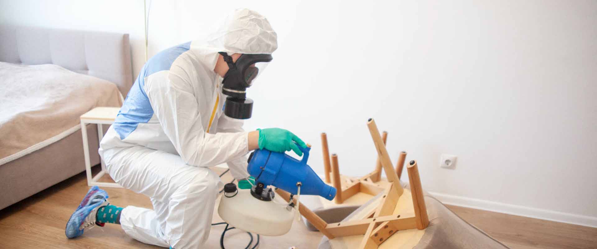 фото: Уничтожение постельных клопов с 1-го раза с гарантией за 30-60 мин. в Щелково без предоплаты