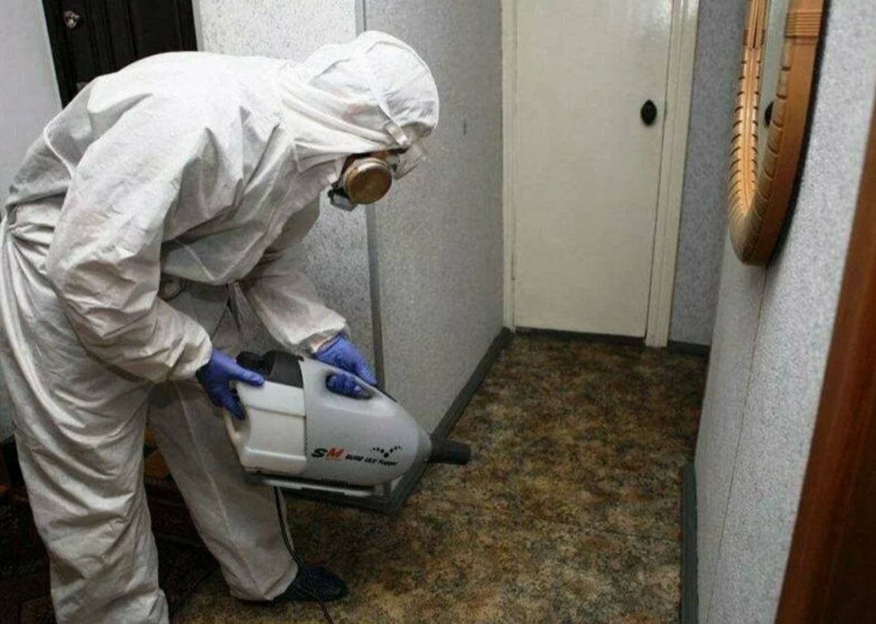 фото: Профессиональная дезинсекция в Щелково: <br/>+7-909-173-42-96